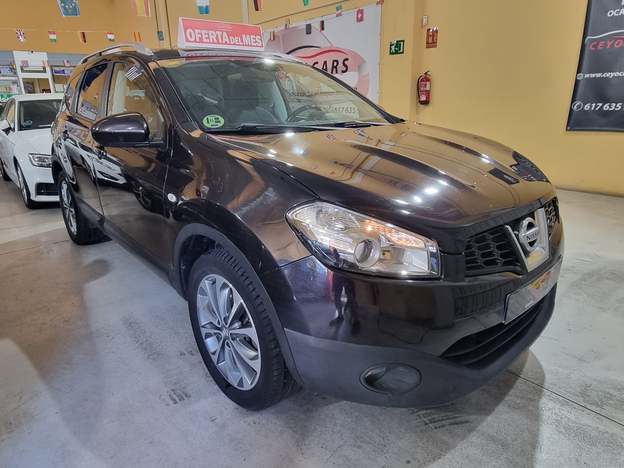 Nissan Qashqai Q+2 2.0DCI TEKNA SPORT 4X2 18
