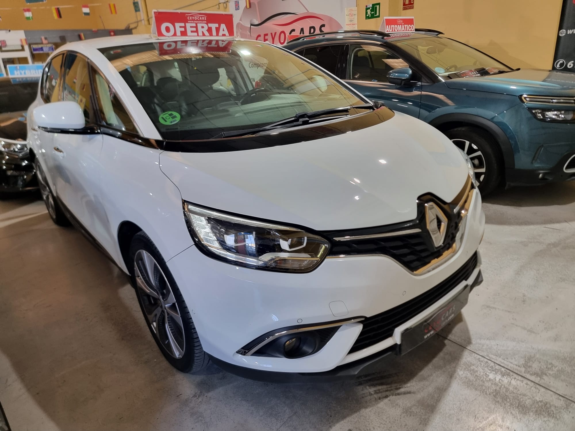 Renault Scénic DCI ZEN BLUE S&S 120 CV