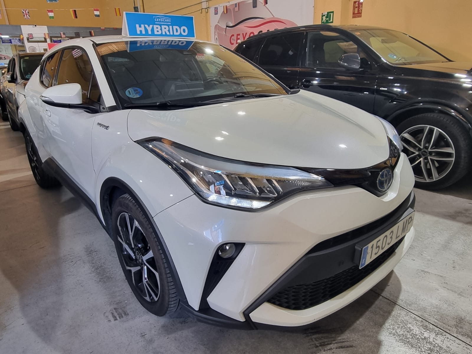Toyota C-HR híbrido C-HR 180H ADVANCE