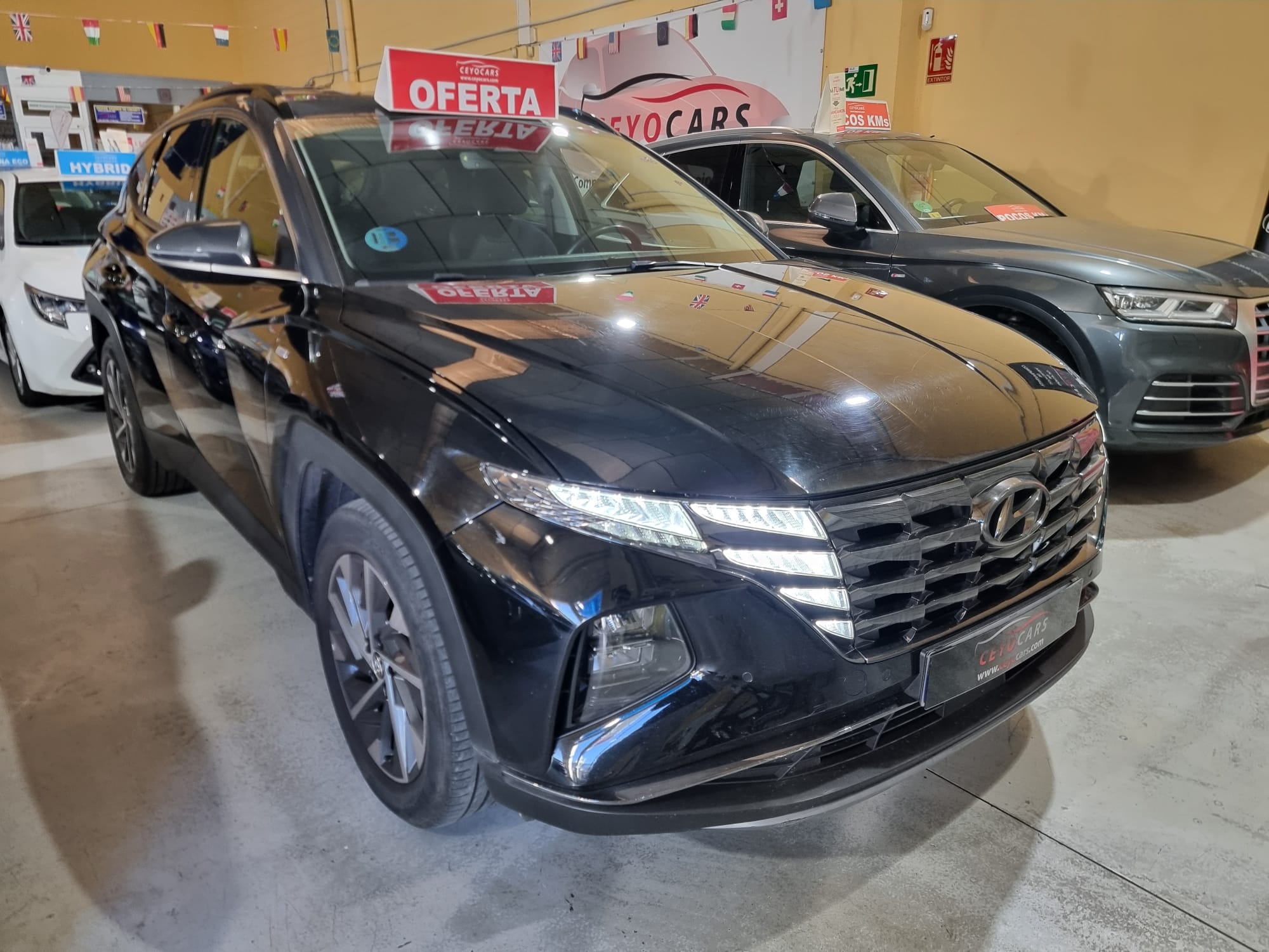 Hyundai Tucson .6 CRDI 48V TECNO 2C 4X2 DT